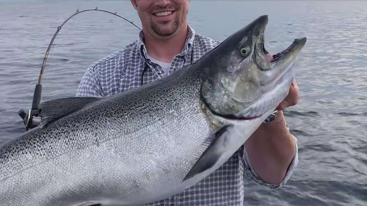 Lake Michigan Salmon Tactics and Tips