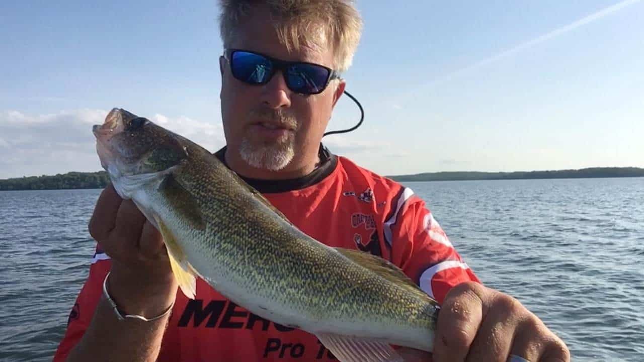 Central Minnesota Fishing Report