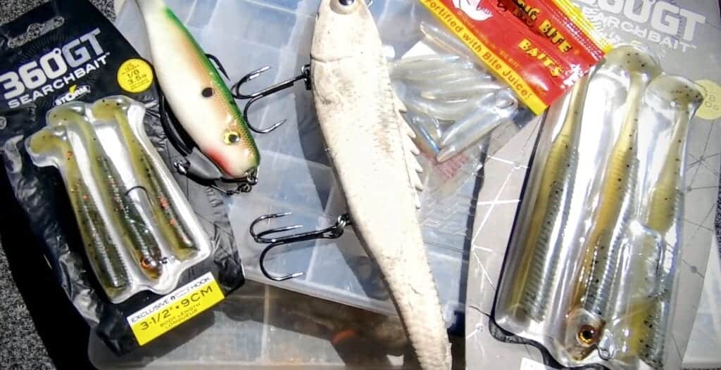 Find Fish Fast with Swimbaits