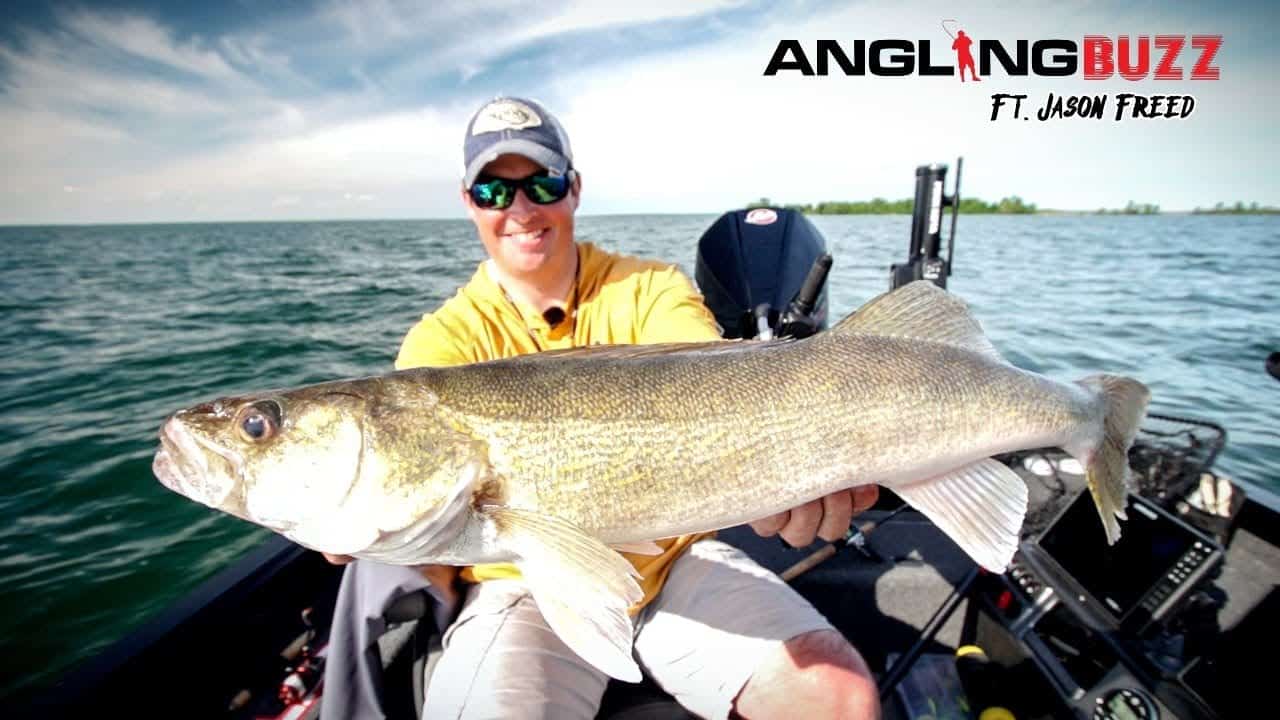Finding Walleye – AnglingBuzz TV