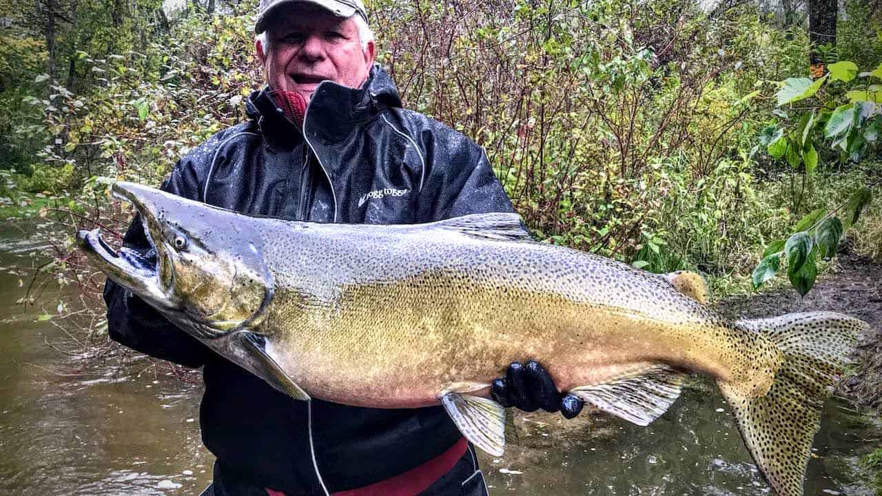 Michigan Salmon & Trout Fishing Options In Rivers