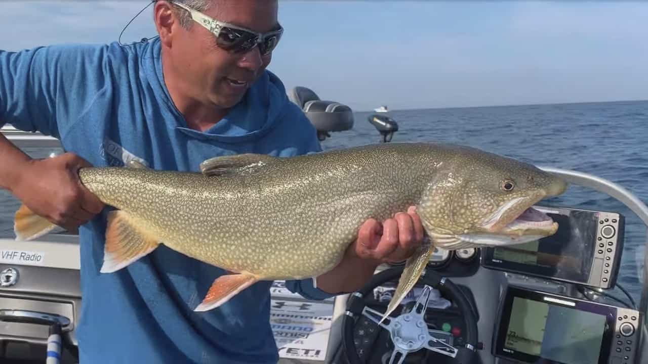 Michigan Walleye, Bass, Trout and Panfish Report