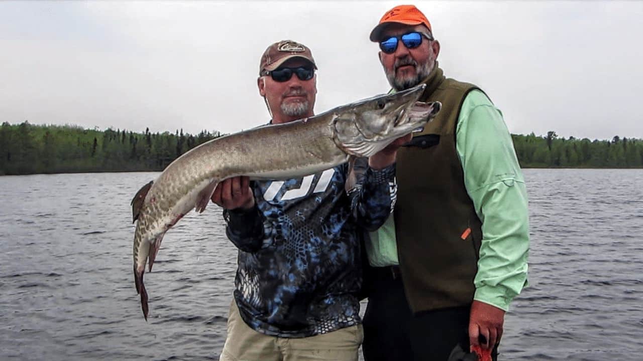 Pre-Opener Lake Vermilion Musky Fishing Report