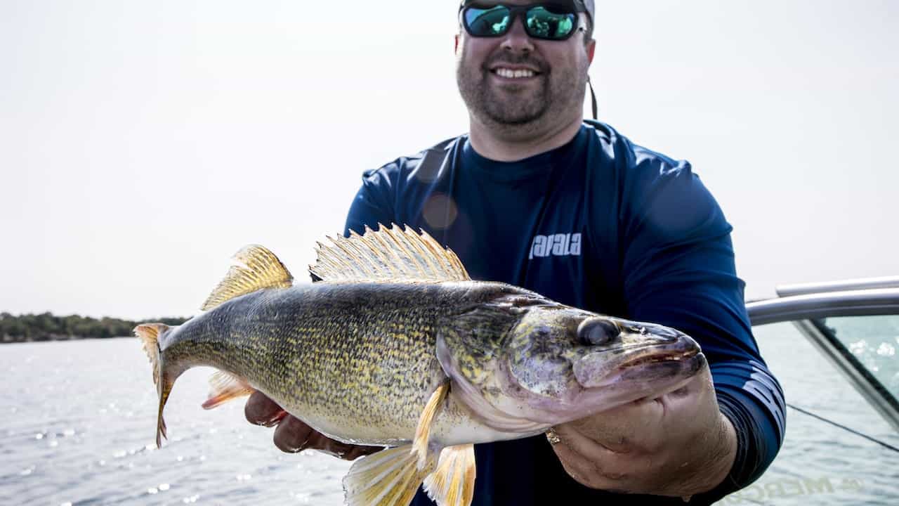 Walleye Lures When, Where and Why?
