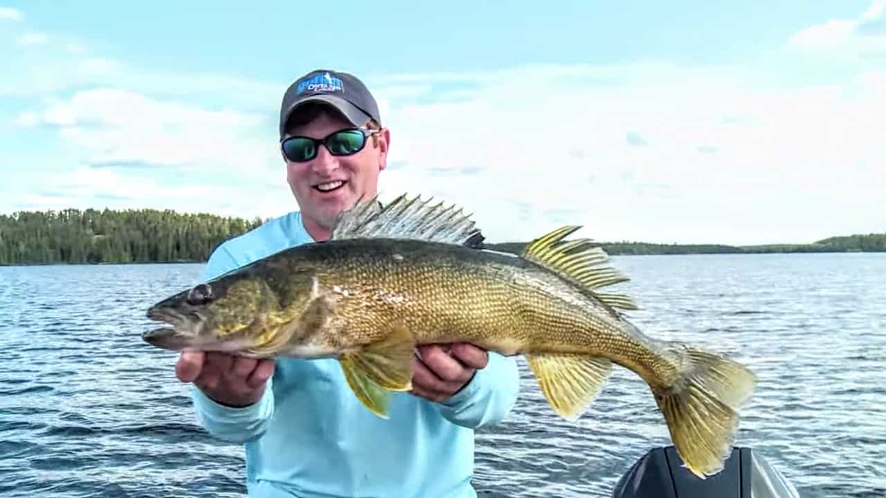 Walleye Search Baits and Gear for Summer Fishing