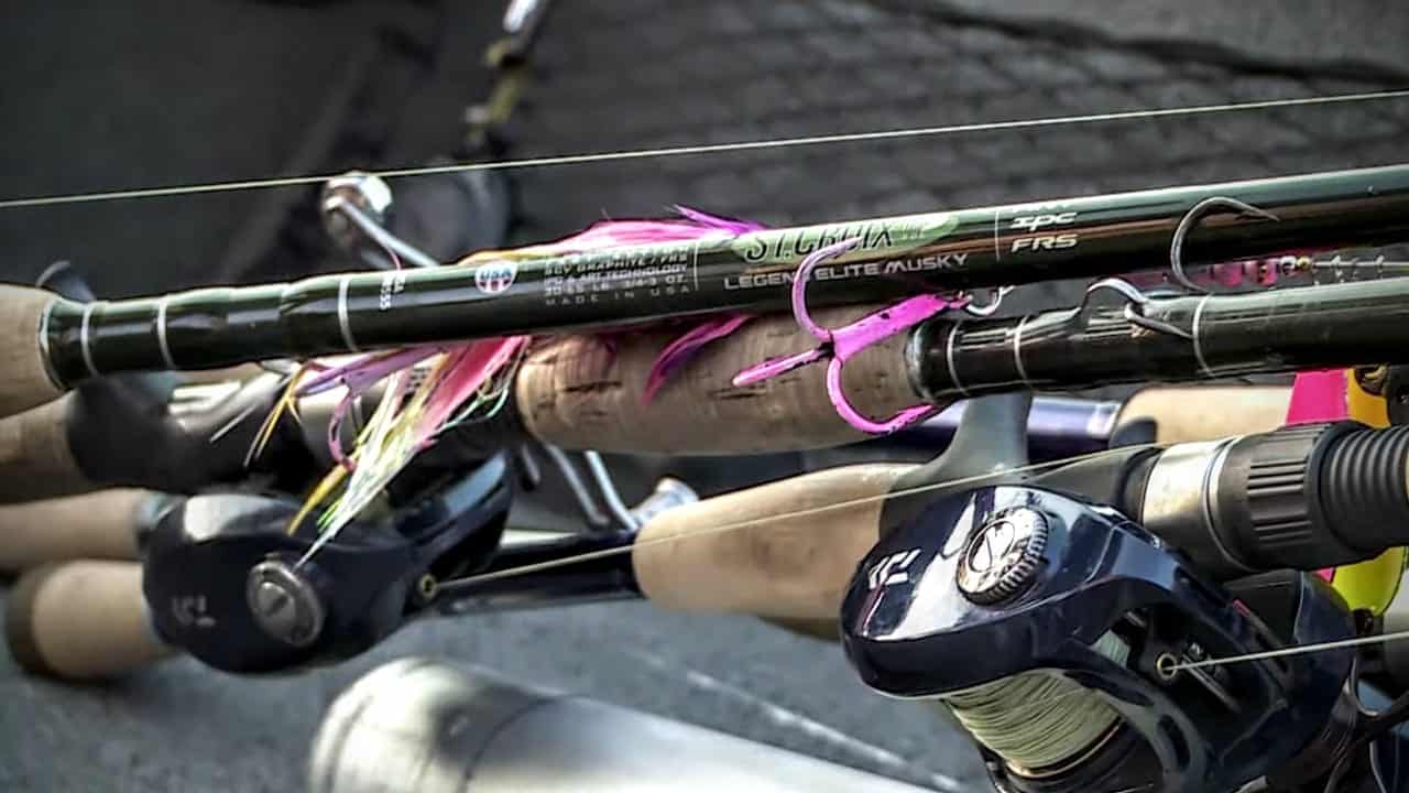 Suggestions for a good catfish rods