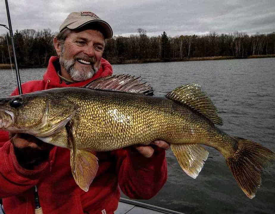 What's on the Menu: Walleye Forage