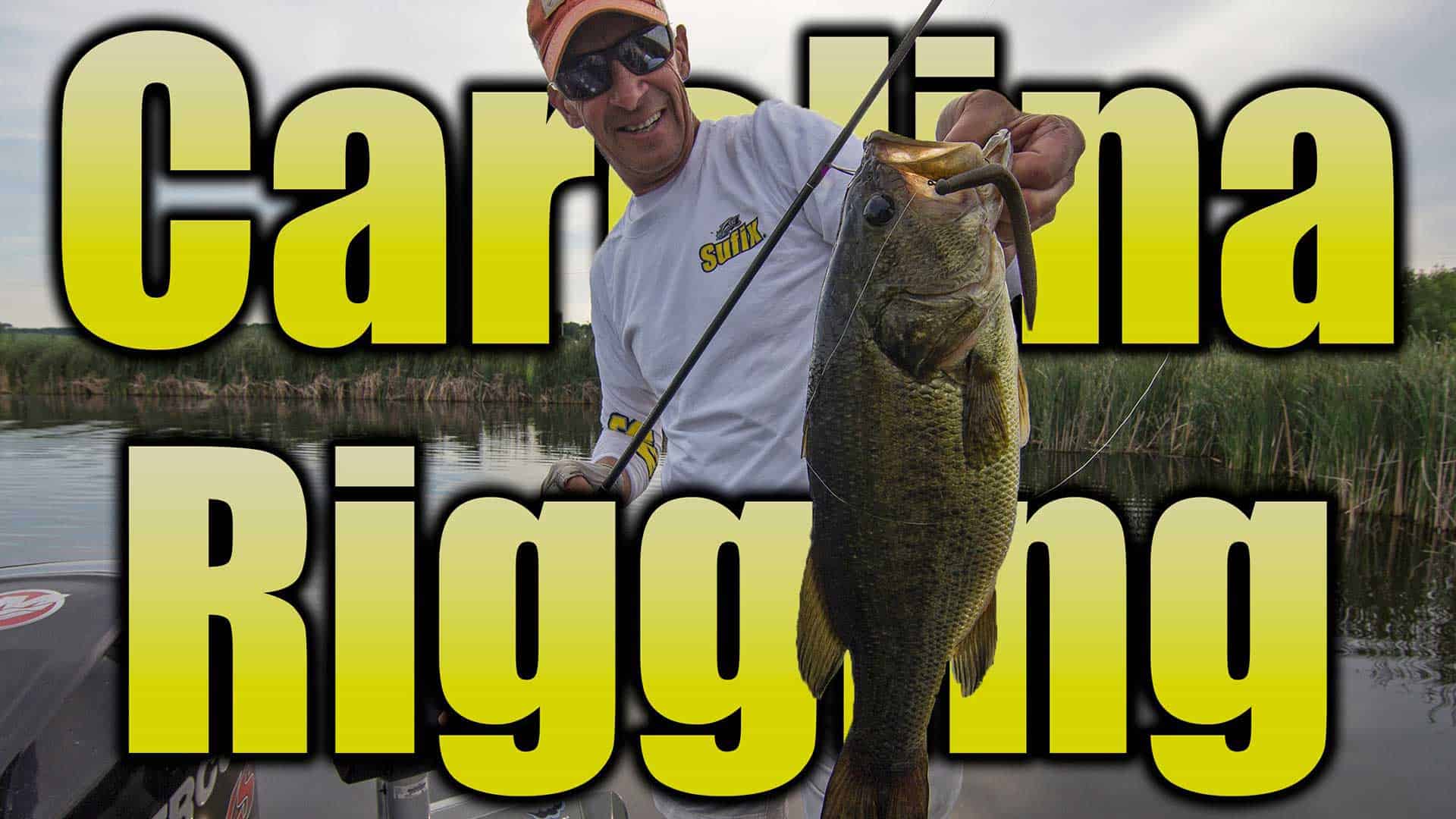Carolina rigging largemouth bass