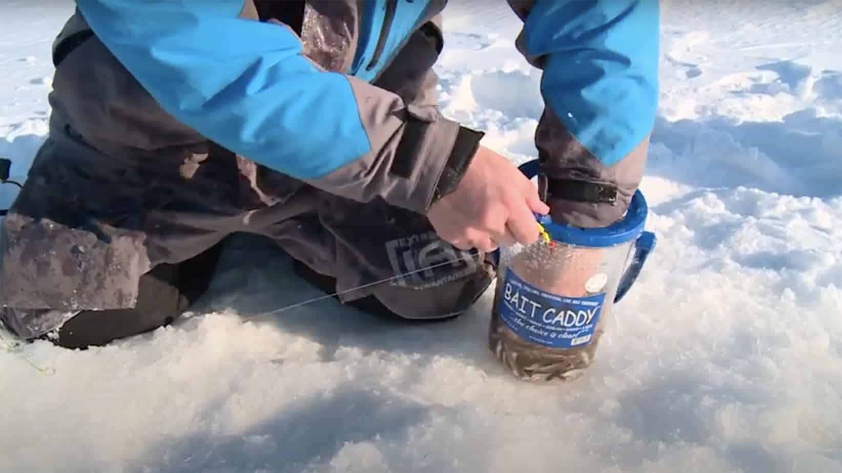 Live Bait Management Tips On Ice: Bait Caddy AnglingBuzz