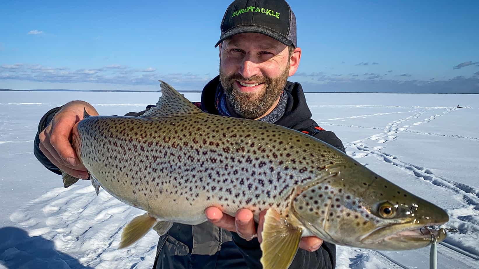 Lake Superior And Northern Wisconsin Buzz Bite Report 1-26-21