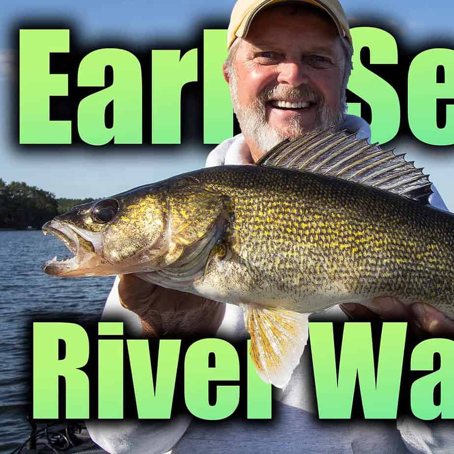 Anglers: Walleye are small but there are lots of them