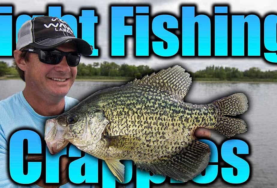 sight fishing for spring crappies