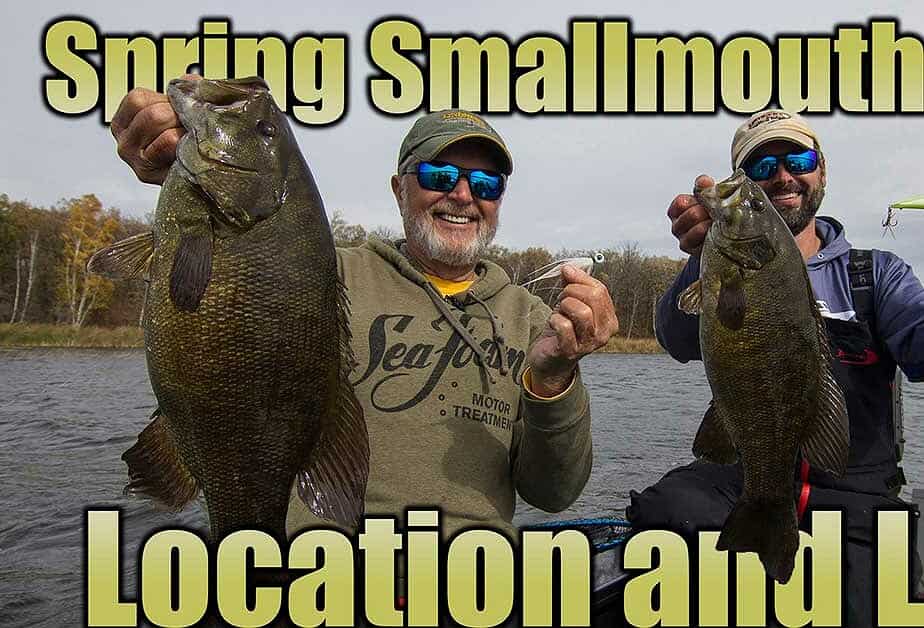Fishing with swimbaits for spring bass