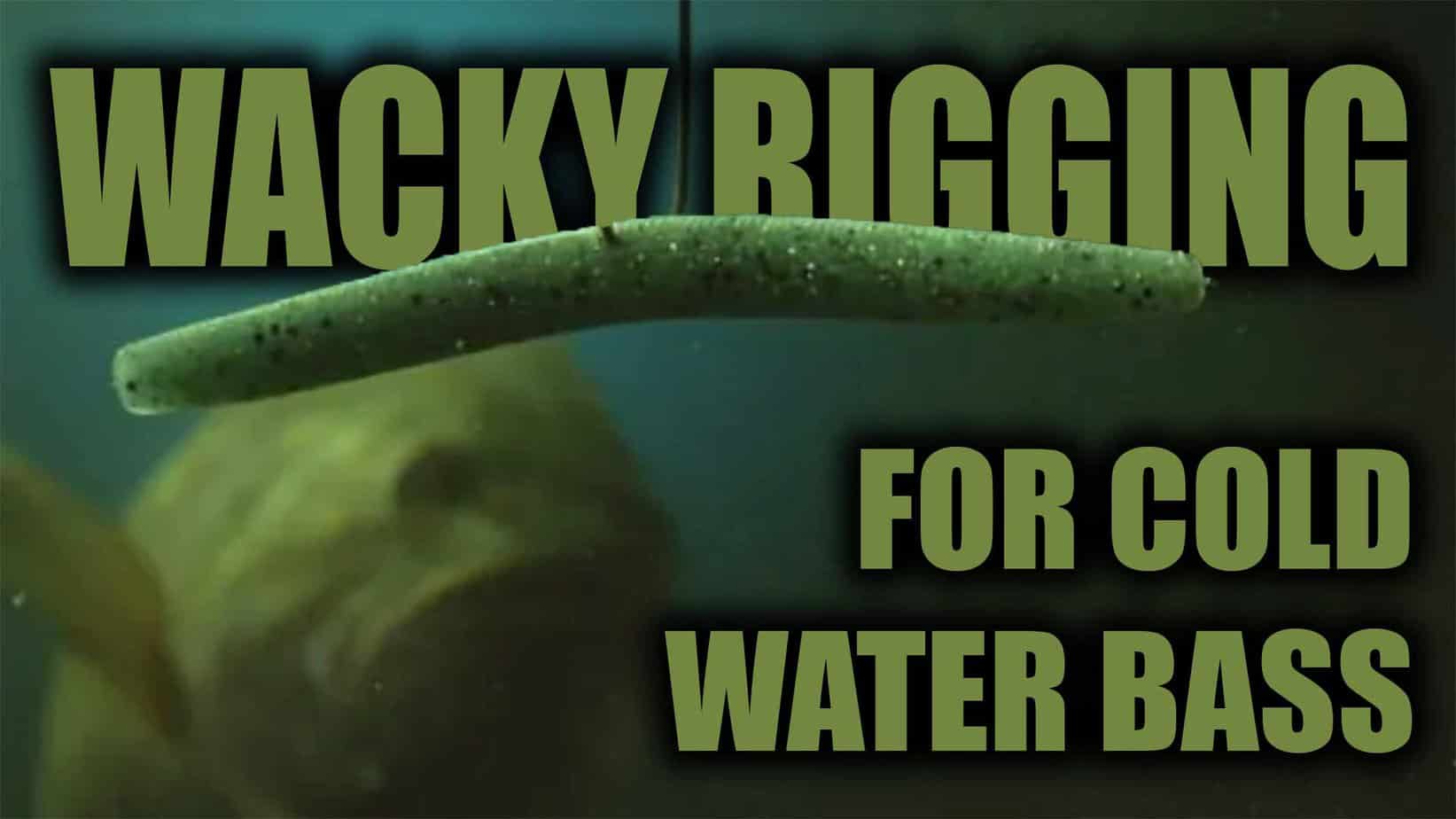 About Deep Water Wacky Worming 
