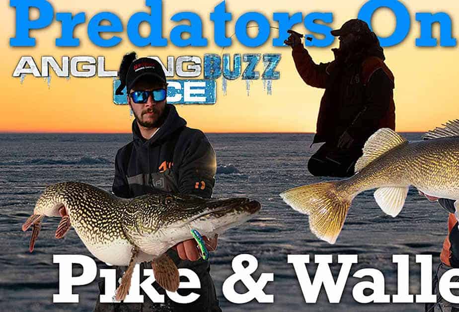 Predators On Ice: Pike And Walleye!