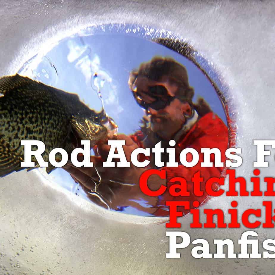 Catching Finicky Panfish: Best Rod Actions AnglingBuzz