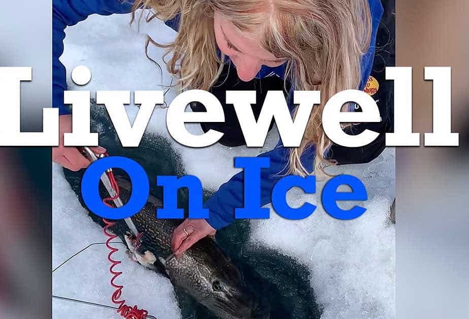 Livewell On Ice For Trophy Northern Pike AnglingBuzz