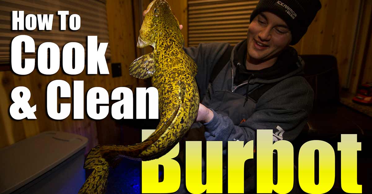 cleaning burbot