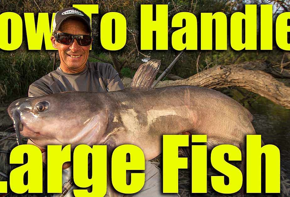 handling big fish