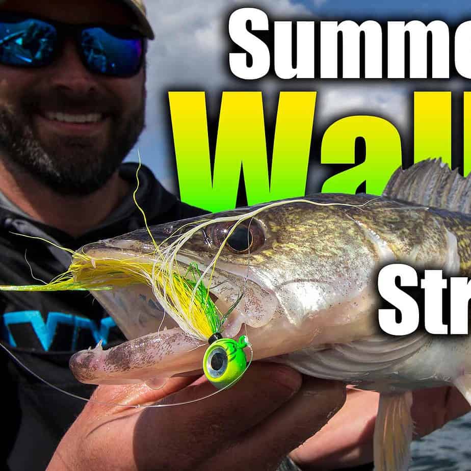 The World's Best Fishing Lure – AnglingBuzz TV AnglingBuzz