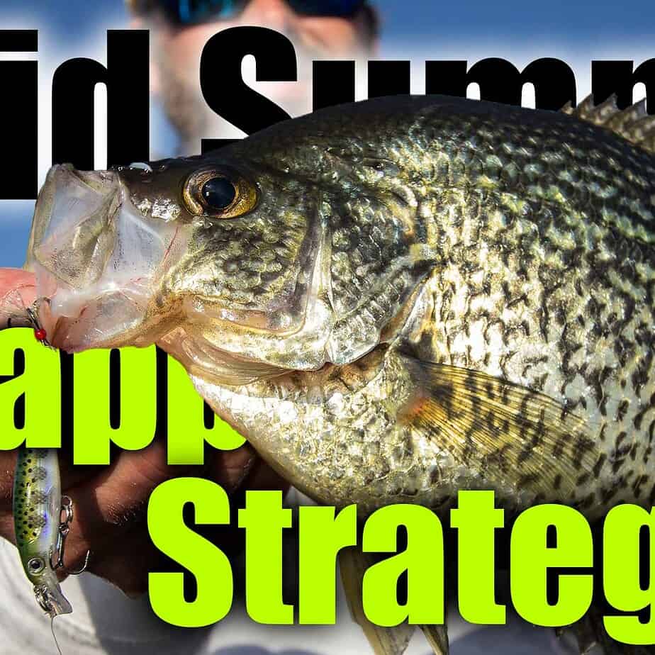 MID SUMMER CRAPPIE STRATEGIES AnglingBuzz