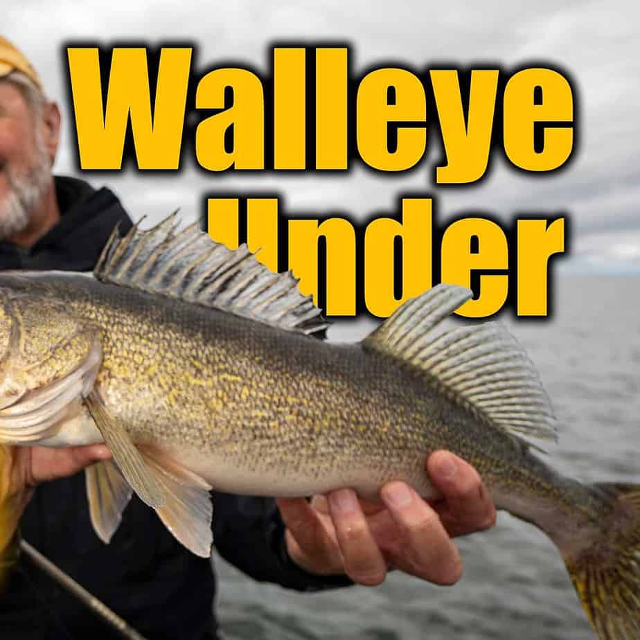 16+ Rods For Walleye Fishing