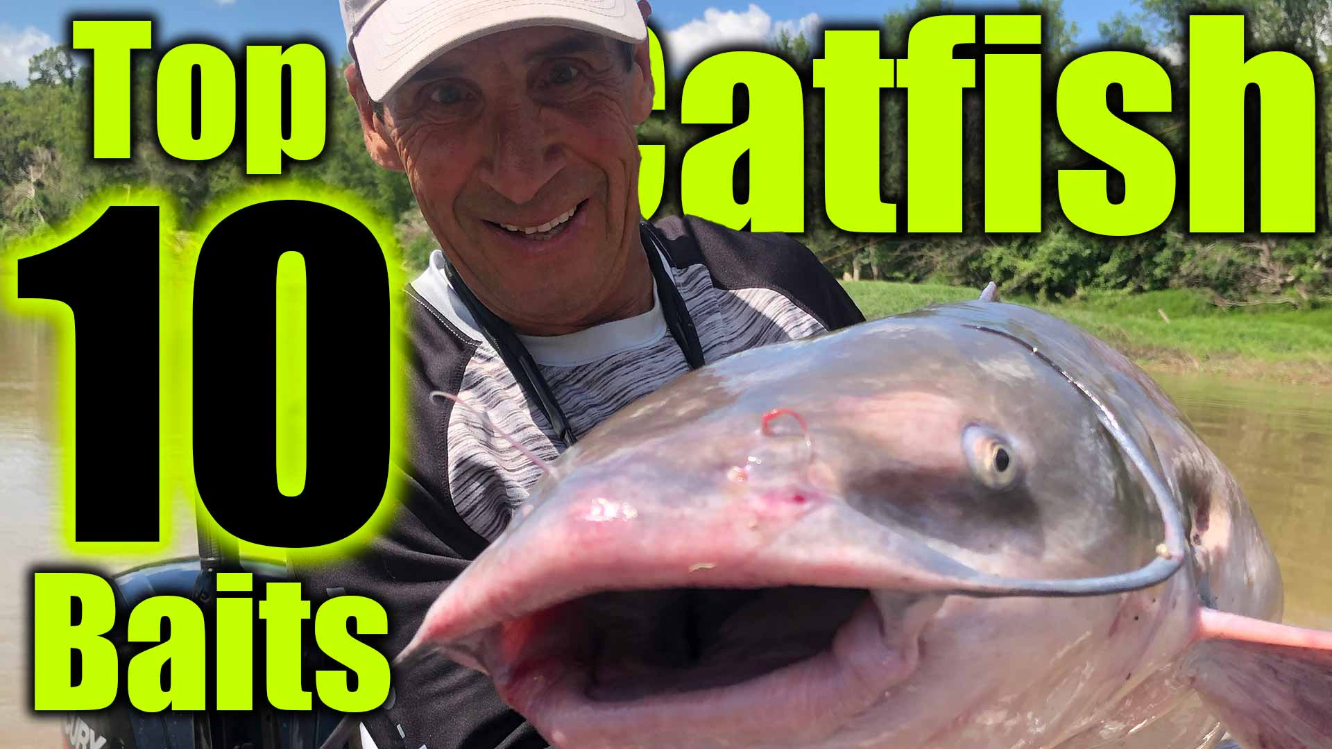 Best Catfish Bait: The Top 5 Catfish Baits Made Simple