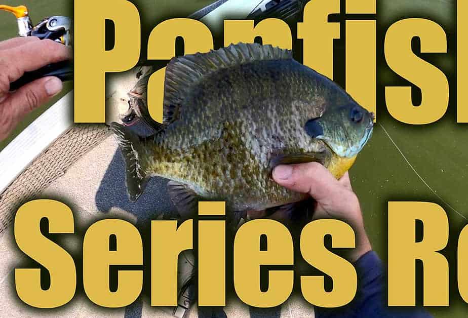 Panfish Rod: St. Croix Panfish Series