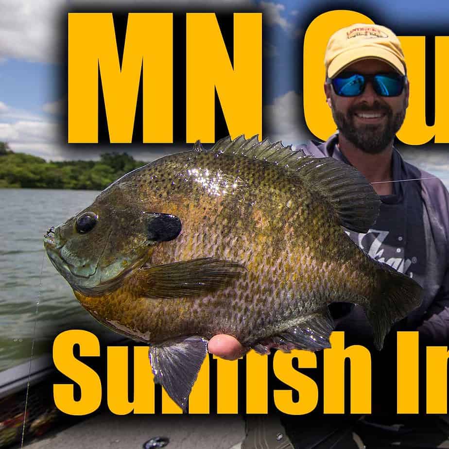 Minnesota's Quality Sunfish Initiative