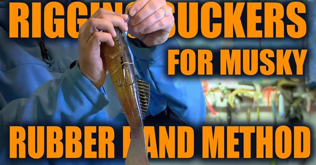 Muskie Rigging Rigging Suckers For Musky: Rubber Band Method | ANGLING BUZZ