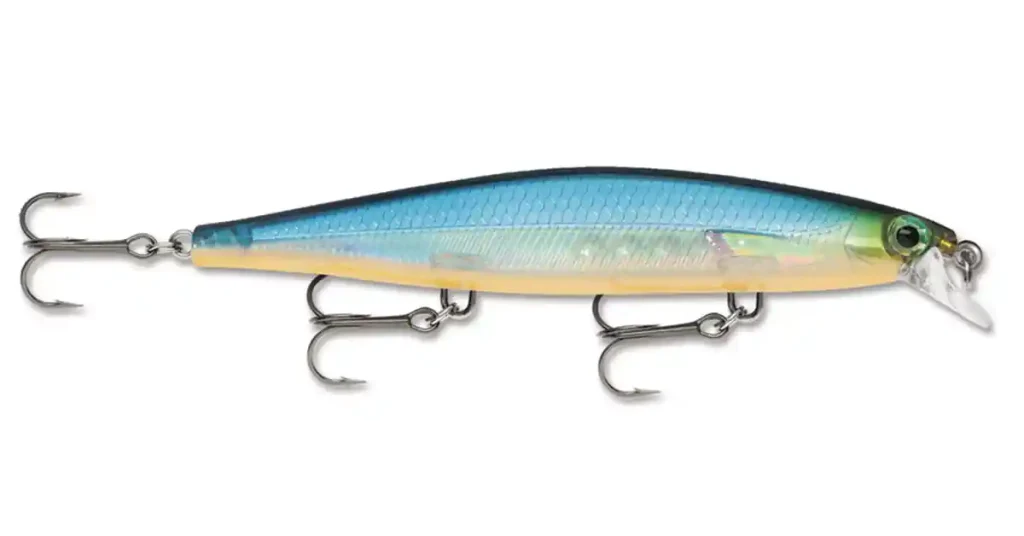 fall smallmouth bass