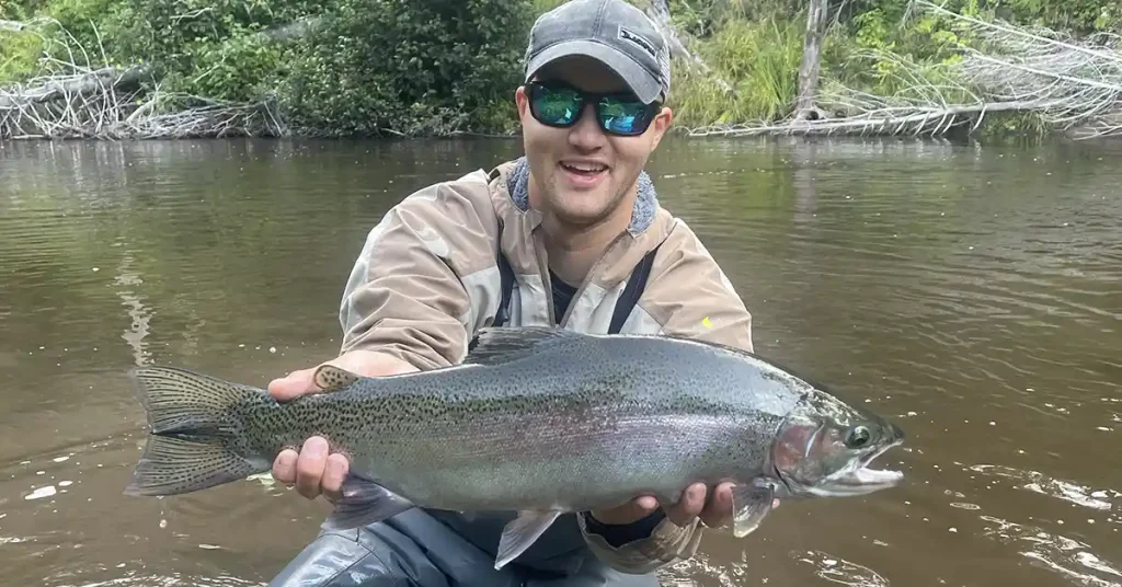 Fall Steelhead and Brown Trout in Rivers 3 fall brown trout fall steelhead