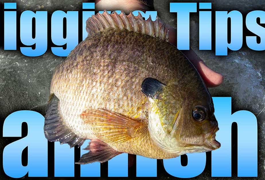 3 Tips On Jigging For Panfish AnglingBuzz