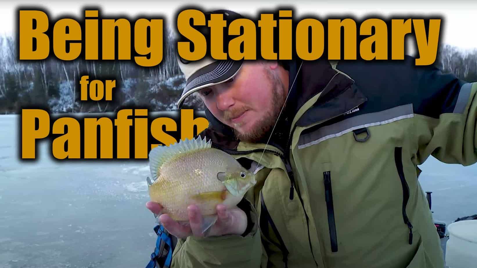 ICE PANFISH Archives