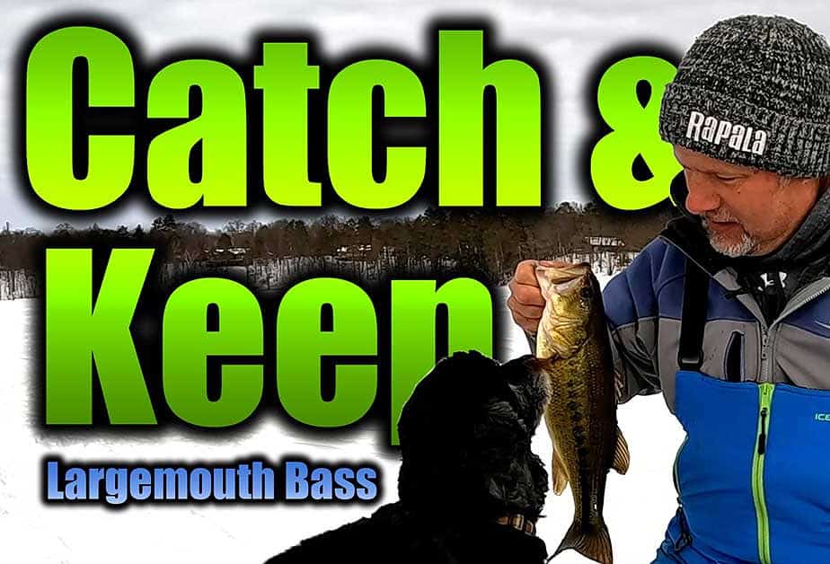 catch and cook largemouth bass