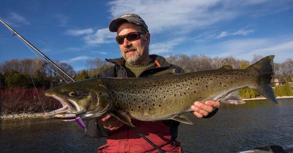 Springtime is Brown Trout Time - MidWest Outdoors