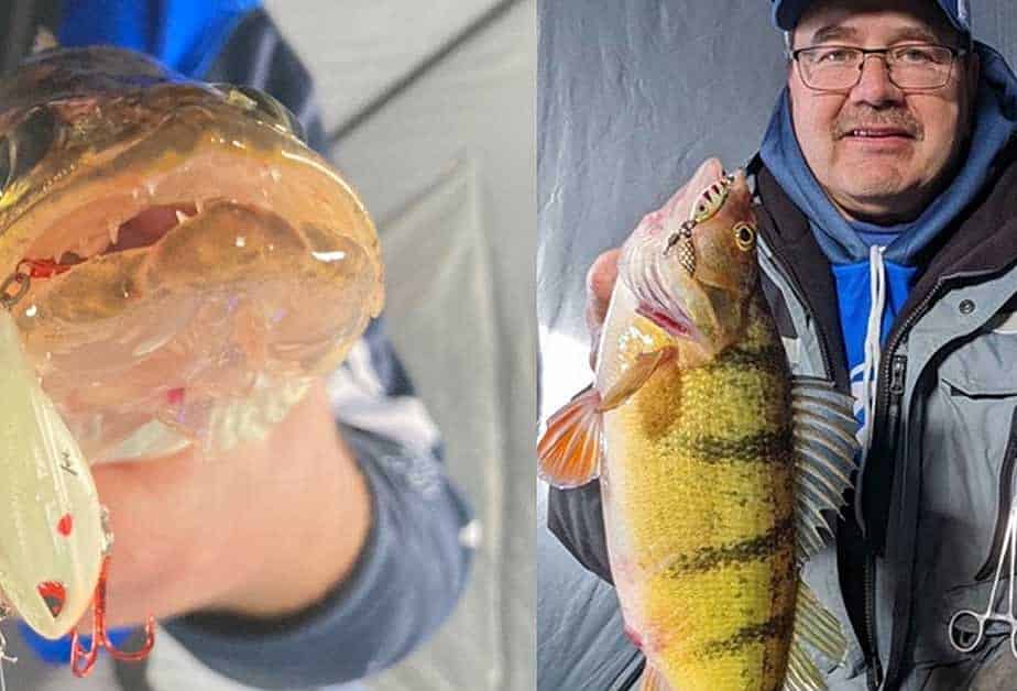 Saskatchewan Fishing Buzz Bite Report 2-17-23 AnglingBuzz