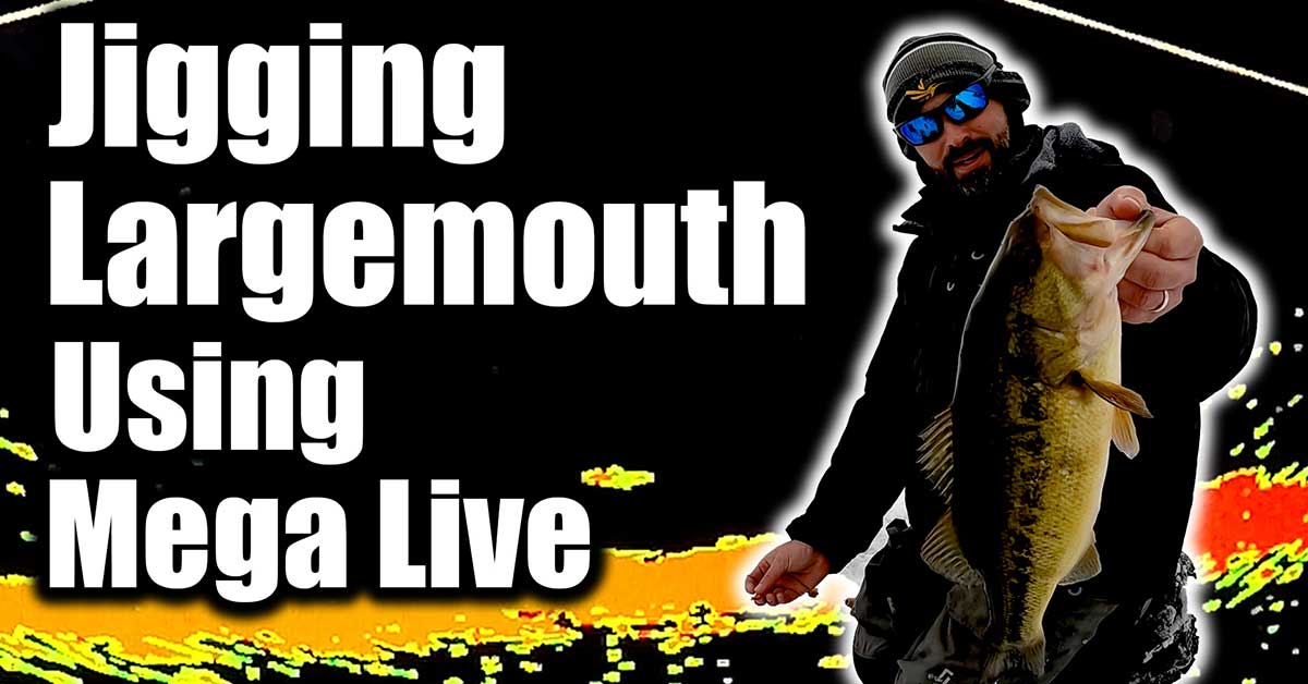 Jigging Largemouth Bass Using MEGA Live