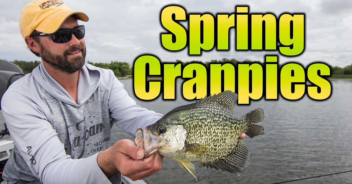 Spring Crappies: Key Locations & Strategies AnglingBuzz