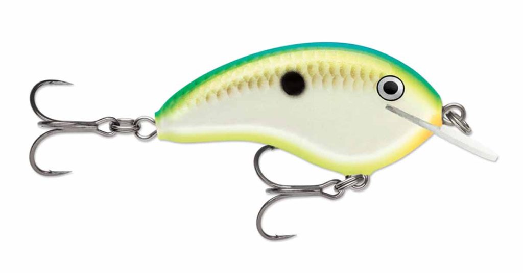 Cool Products: Summer Smallmouth Bass Gear