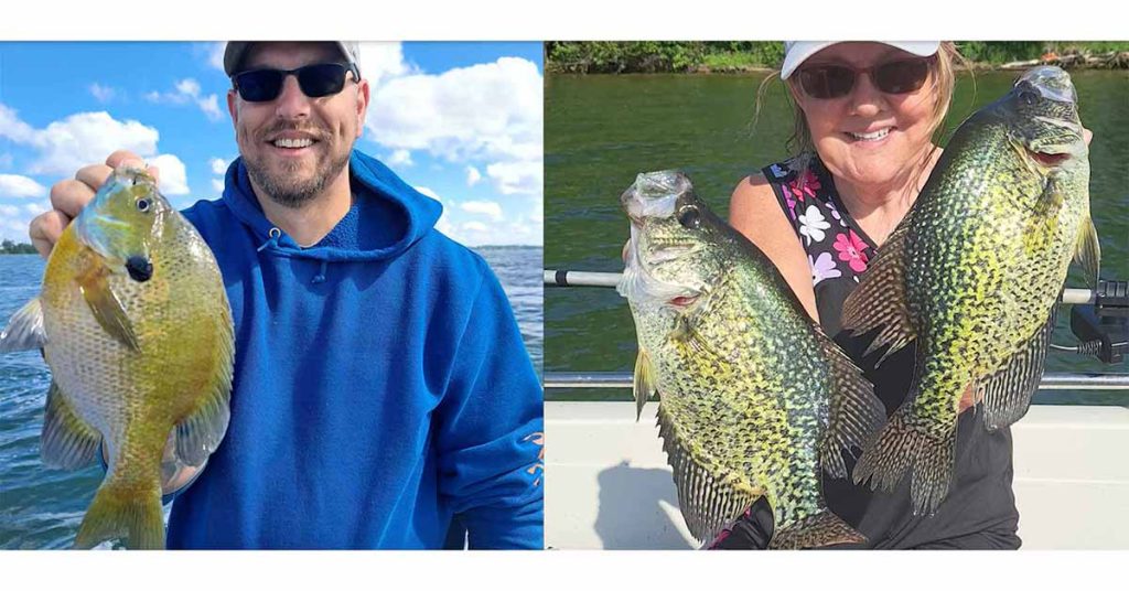 Alexandria area panfish 