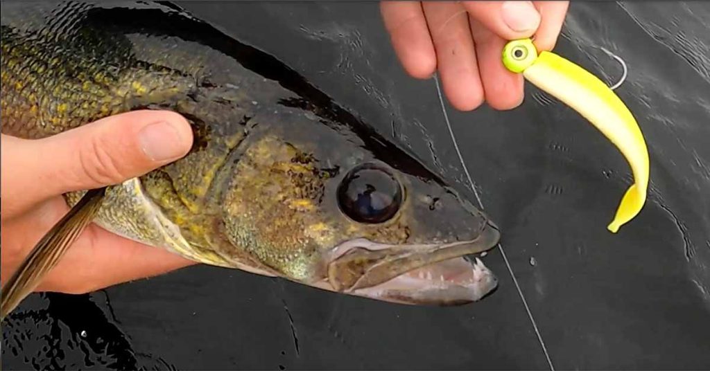 Tower Minnesota: 7-17-2023 3 tower Minnesota