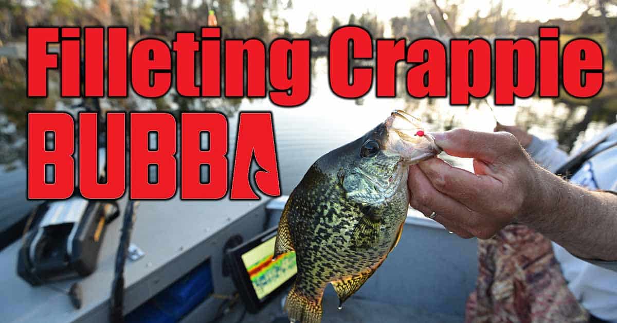 filleting crappies