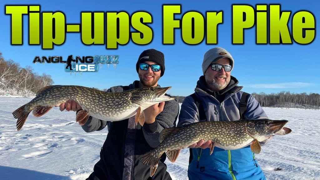 How To TipUp Fish For Northern Pike AnglingBuzz