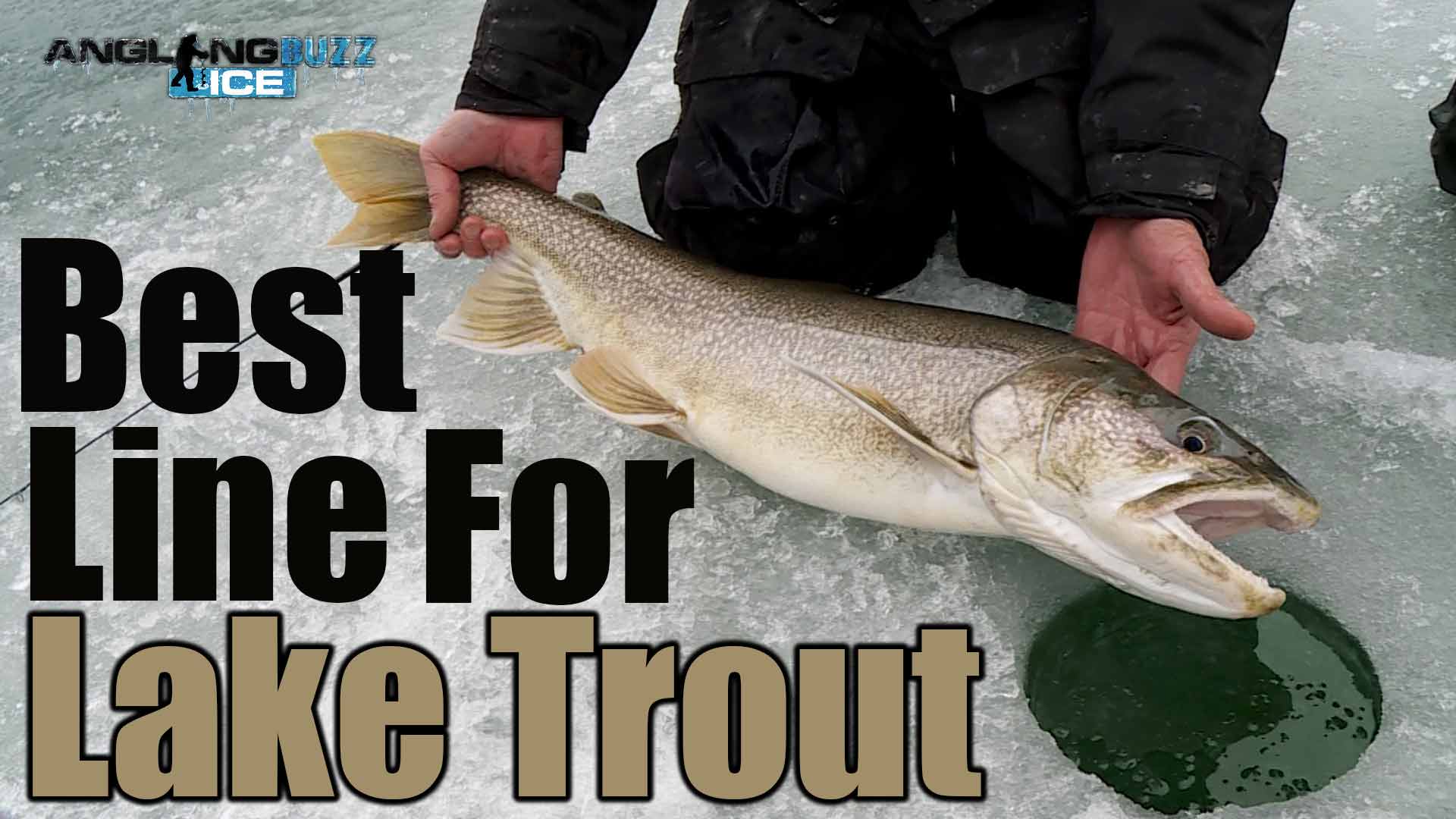Best Ice Fishing Line For Lake Trout AnglingBuzz