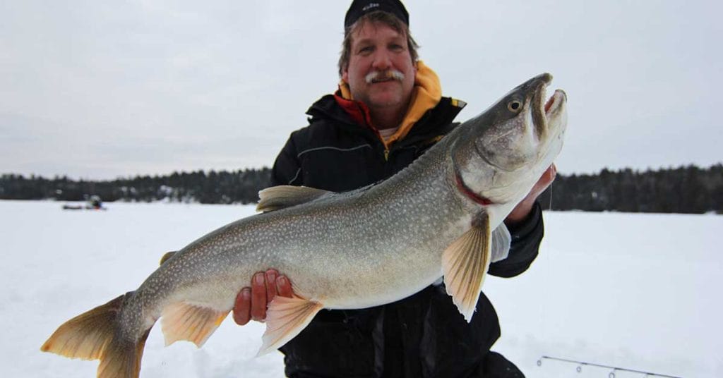 best line for lake trout 
