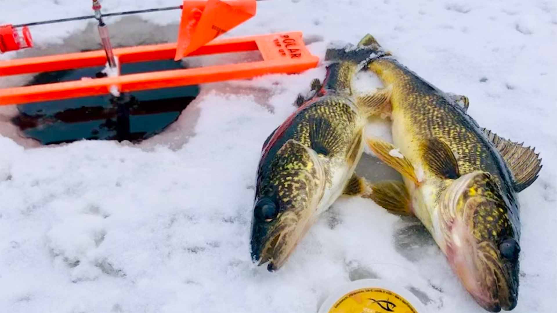 Hayward fishing report