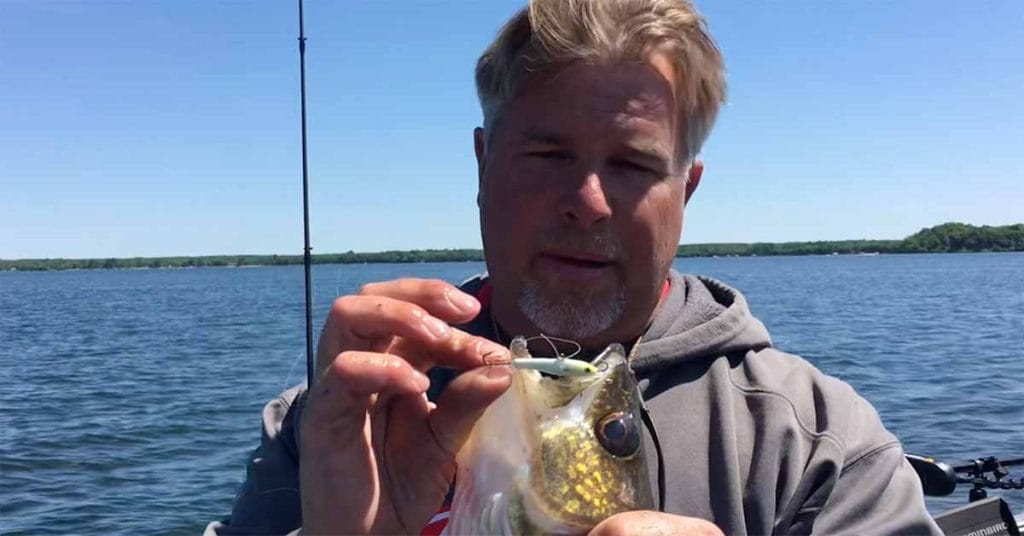 Central Minnesota Fishing Report 