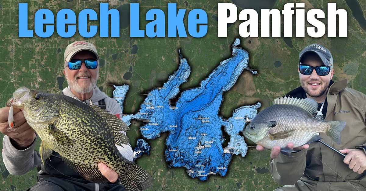 leech lake spring crappies
