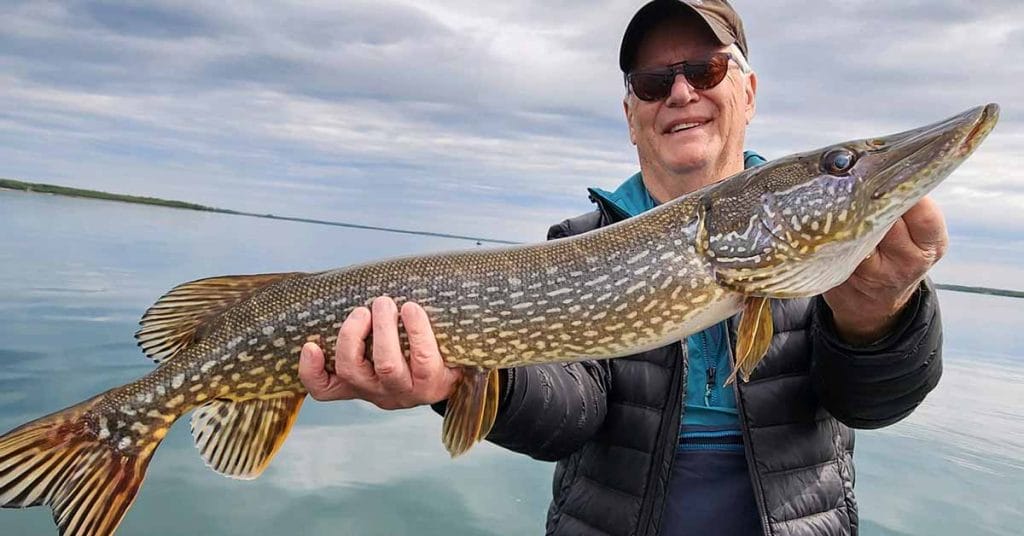 Brainerd Fishing Report 